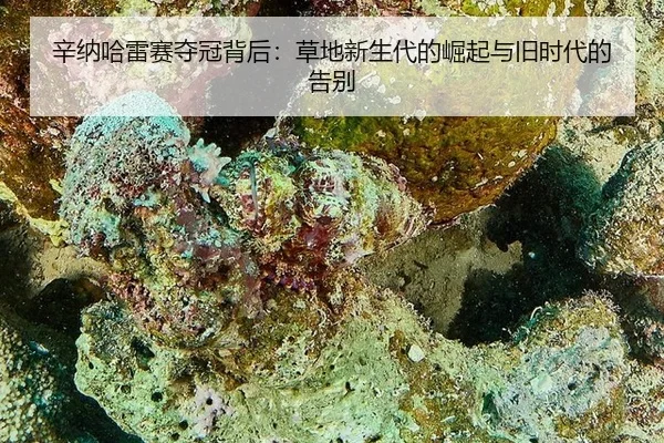 辛纳哈雷赛夺冠背后：草地新生代的崛起与旧时代的告别